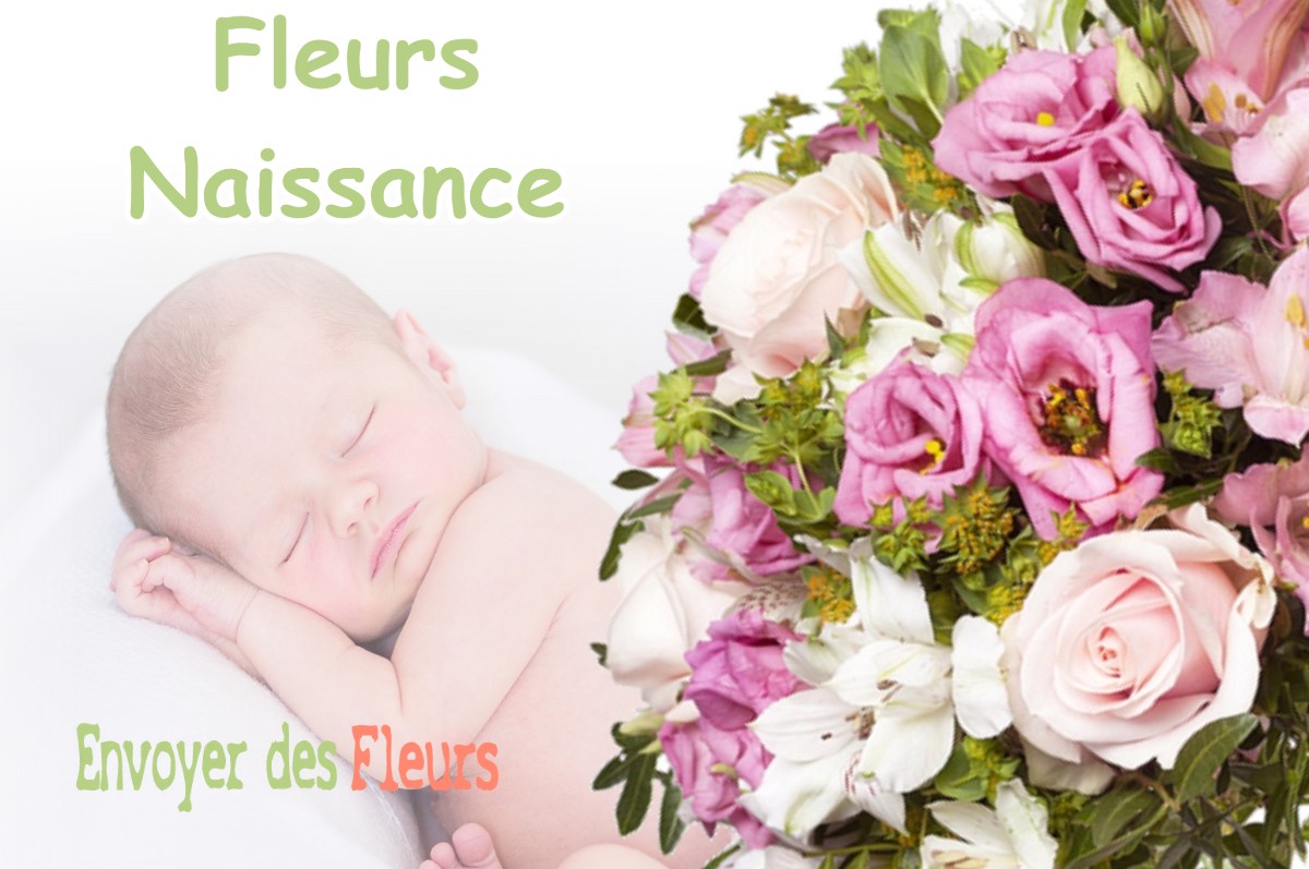 lIVRAISON FLEURS NAISSANCE à LE-PEAGE-DE-ROUSSILLON